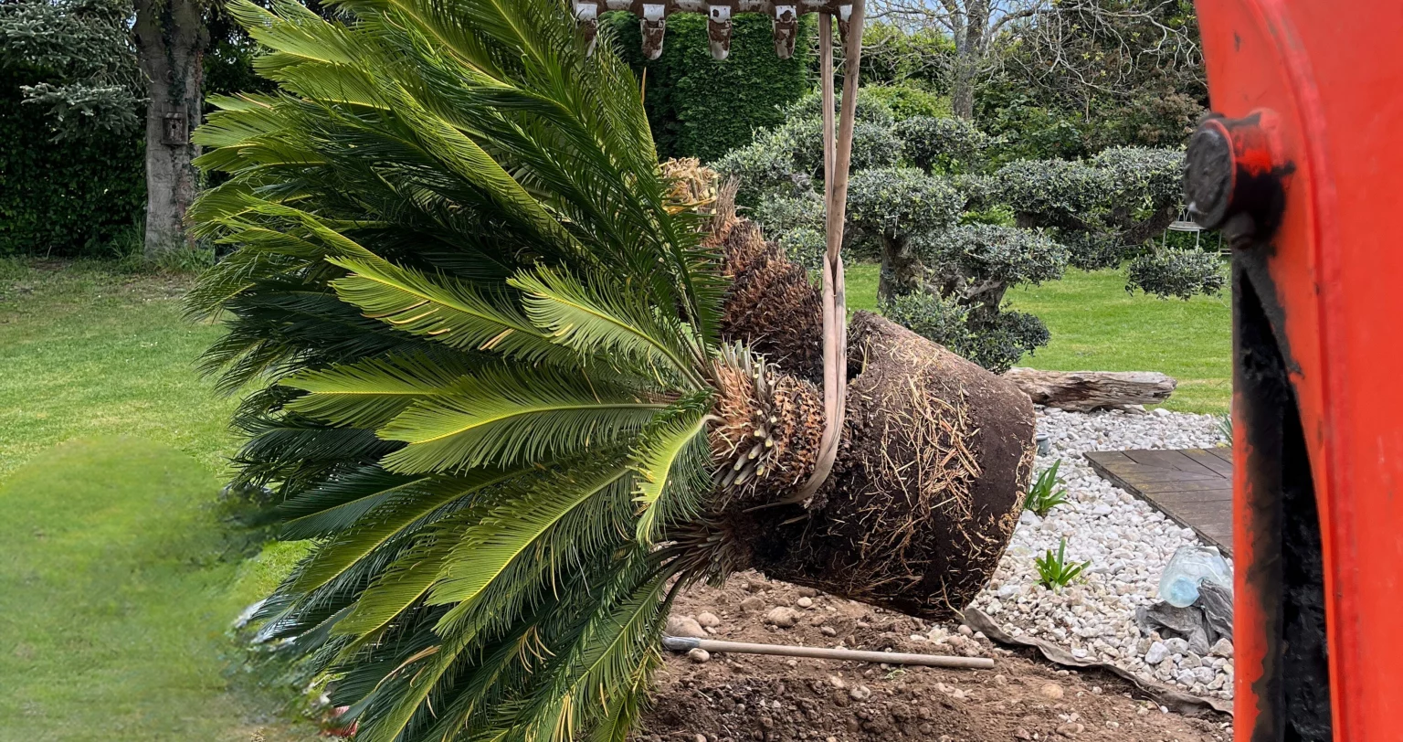 Plantation